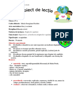 Marin Georgiana, Pi Anul 3 Proiect Didactic Ed Civica