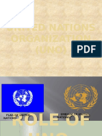 United Nations Organization (UNO)