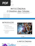  Mitocôndrias, o destino das células 