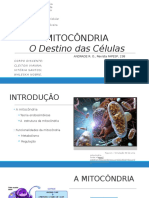 Mitocôndrias, o Destino Das Células