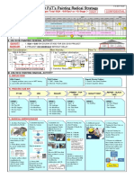 SQA 0 01 Radical Strategy - Rev1 (Okamoto Version)