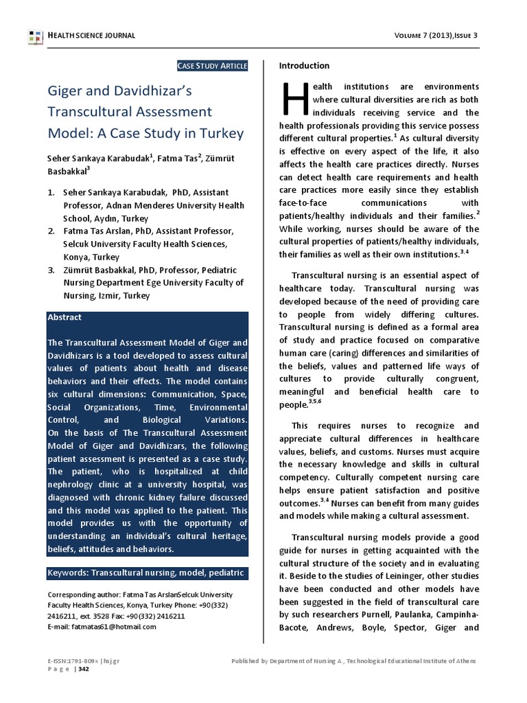 Transcultural nursing terminologies picture
