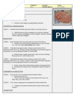 K 2 Clay Fossils