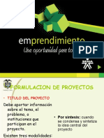 ev1_formulacion_de_proyecto.pptx