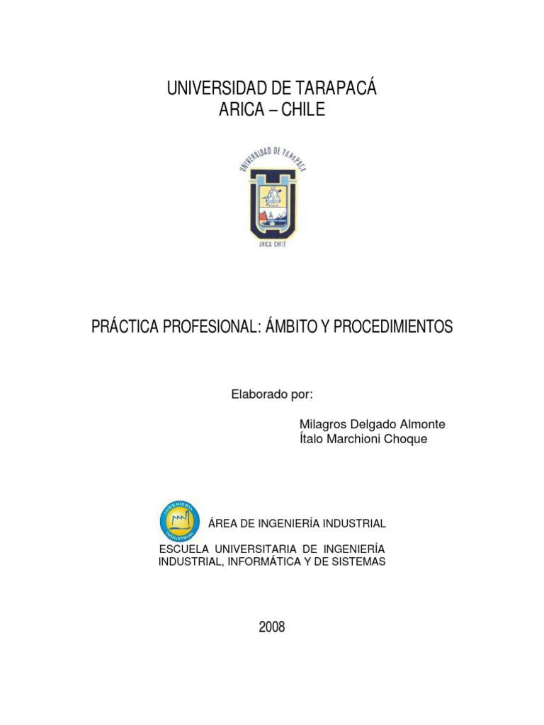 Formato Practica Profesional | PDF | Ingeniería Industrial | Ingeniería