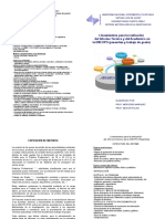 lineamientos_informe.pdf