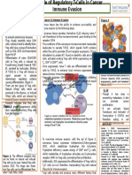 Poster T-Reg Cells and Cancer