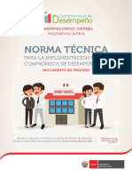 Norma Tecnica - Compromisos de Desempeño 2017 - Version 01 (1).pdf