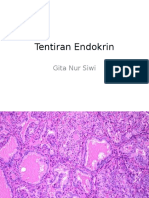 Tentiran Endokrin