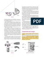 Fisiologia de La Nutricion