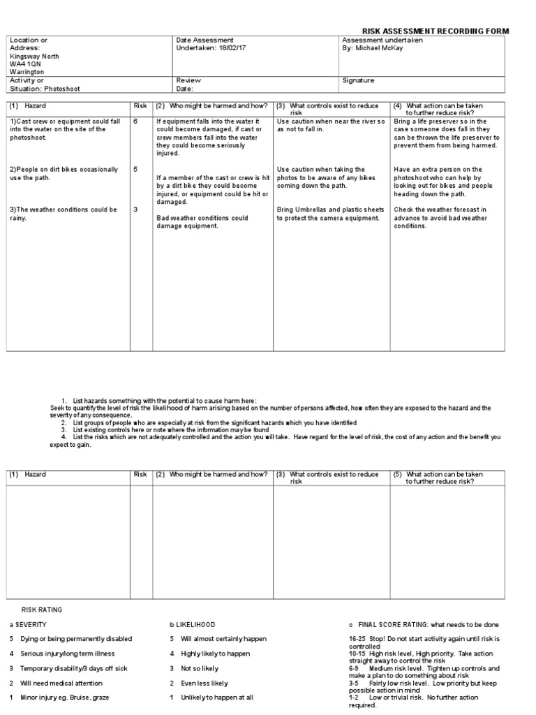 Risk Assessment Templatefield | PDF | Risk | Disability