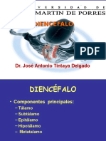 DIENCEFALO Tintaya