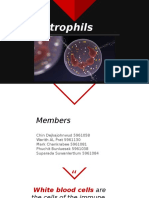 neutrophills