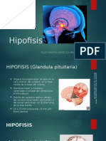 Hipofisis