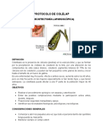 Protocolodecolelap 120126001430 Phpapp01