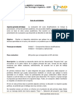 2013_1_Amp_Guia_proyecto_final.pdf