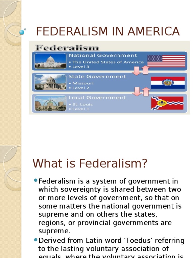 Federalism in America | Download Free PDF | Federalism | The United States