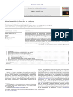 Mitochondrial dysfunction in epilepsy