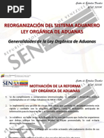 Reorganizacion Sistema Aduanero 2015