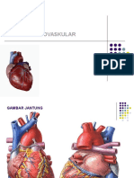 Sistem Kardiovaskuler