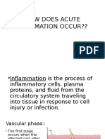 inflamation.pptx