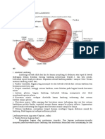 Anatomi Dan Fisiologi Lambung