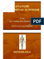 Anatomi-EXTREMITAS SUPERIOR.pdf