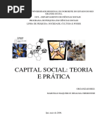 Livro Capital Social 2006