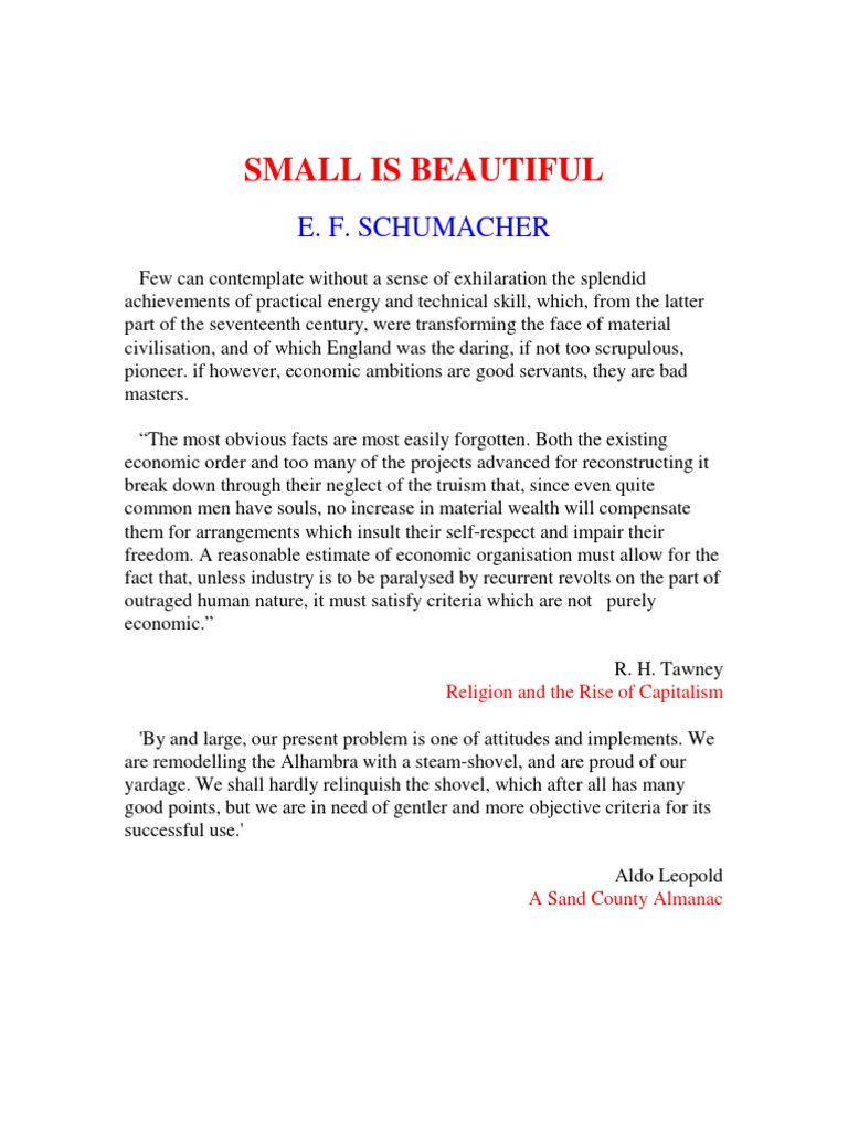 Small Is Beautiful Schumacher PDF | PDF | Fuels | Nuclear Power