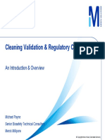Cleaning Validation Michael Payne PDF