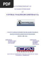 Interim Report on Ccl