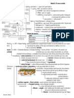 3-cellula.pdf