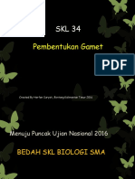 Skl34-Pembentukan Gamet 160405022214