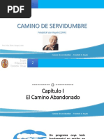 Camino de Servidumbre de Hayek