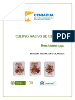 Ceniacua, Cultivo Marino de Rotiferos