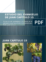 Estudio Del Evangélio de Juan Capítulo 15