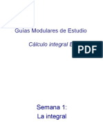 GuiaModularCINTEGRAL_PB.ppt