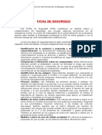 ficha_seguridad.pdf