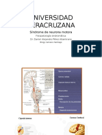 7. Síndrome de Neurona Motora