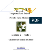 Modulo 4 Parte 1 Flores de Bach