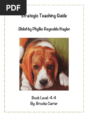 strategic teaching guide final copy