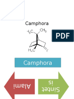 Camphor A