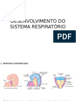 Desenvolvimento do sistema respiratório