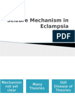 Seizure Mechanism in Eclampsia