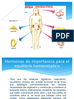 Hormonas de Importancia Para El Equilibrio Homeostatico%5b1%5d (1)