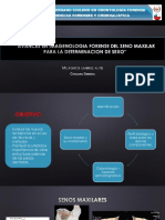 Avances en Imagenologia Forense Del Seno Maxilar PDF