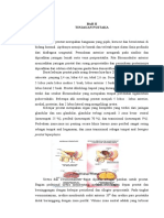 Bab Ii Tinjauan Pustaka A. Anatomi Fisiologi 1. Anatomi: Prostat Hiperplasia