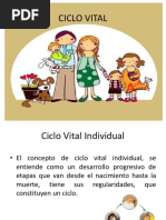 02 Ciclo Vital