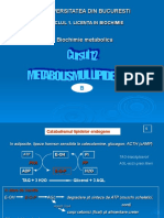 Metabolismul_lipidelor.pdf