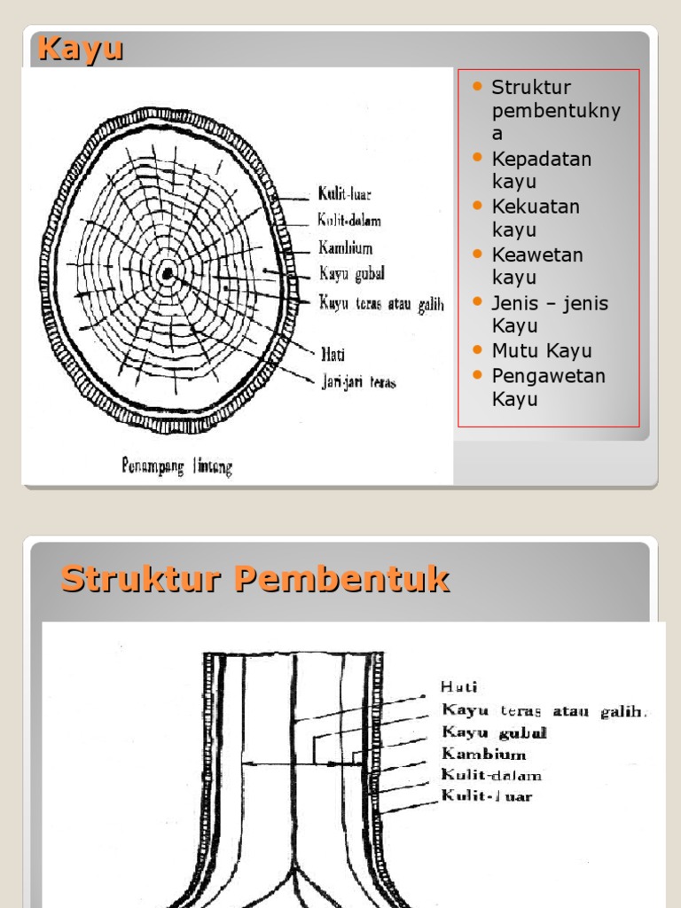 Teknik Sipil Tentang Pelajaran Kayu | PDF